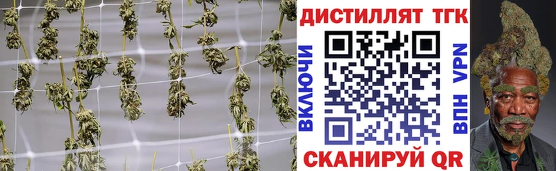 Дистиллят ТГК Wax  Фролово 